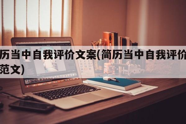 简历当中自我评价文案(简历当中自我评价文案范文)