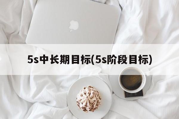 5s中长期目标(5s阶段目标)