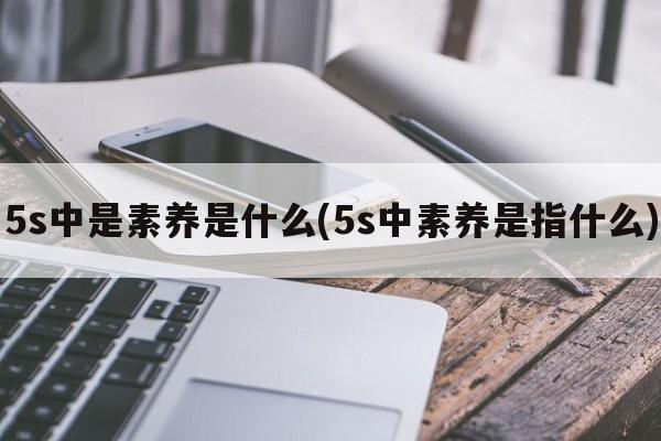 5s中是素养是什么(5s中素养是指什么)